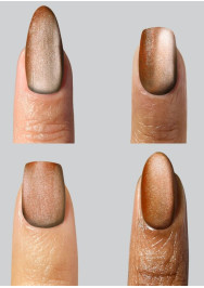 Fortune Magnetic Mini