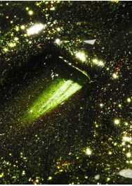 Tinseltown Collection